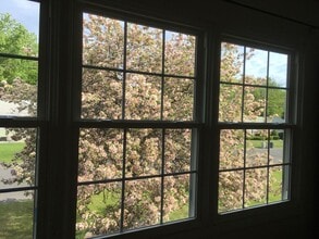 50 Wertman Ln in Albany, NY - Building Photo - Building Photo