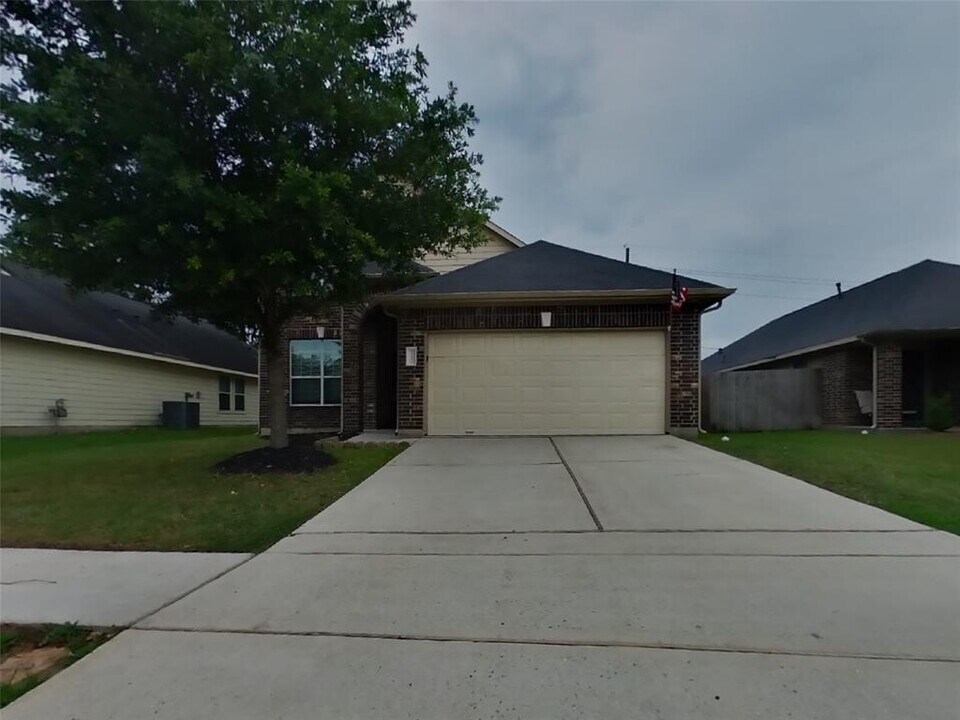 21439 Palma Grove Way in Houston, TX - Building Photo