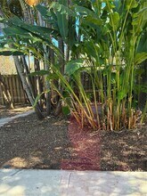 9834 SW 222nd Ter in Cutler Bay, FL - Foto de edificio - Building Photo