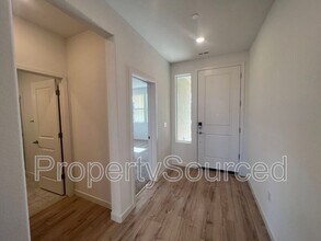 1029 Pipit St in Lathrop, CA - Building Photo - Building Photo