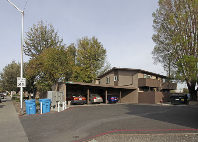 Shayla Apartments in Santa Clara, CA - Building Photo - Building Photo