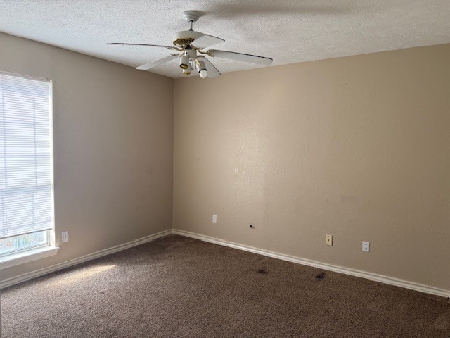 23 Ashleigh Cir in Wake Village, TX - Building Photo - Building Photo