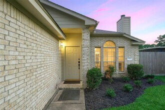 354 Fantasy Ln in Montgomery, TX - Building Photo - Building Photo