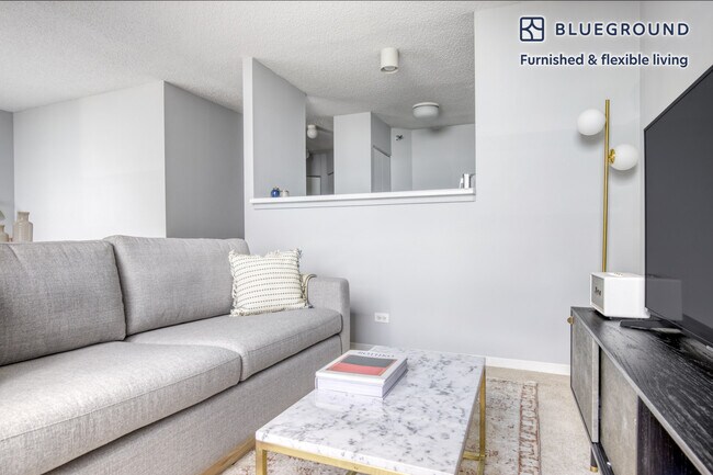 445 E Ohio St in Chicago, IL - Building Photo - Building Photo