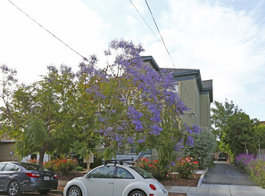 The Thorpe House in San Jose, CA - Building Photo - Building Photo