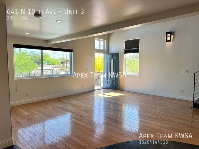 641 N 10th Ave in Tucson, AZ - Building Photo - Building Photo