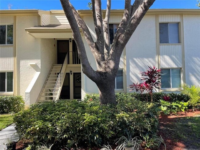 property at 138 Cypress Ct