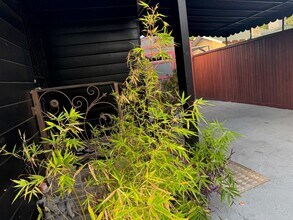 1200 Tamarind Ave in Los Angeles, CA - Building Photo - Building Photo