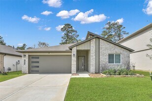 14213 Wonder Lake Ln, Unit 6641 in Conroe, TX - Building Photo