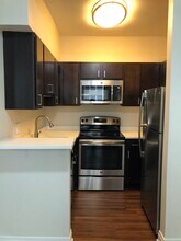 260 E Chestnut St in Chicago, IL - Building Photo - Building Photo