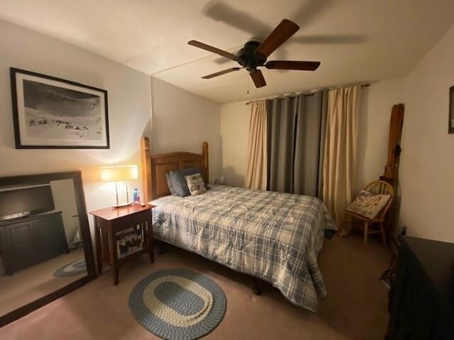 17 Alpine Dr in Killington, VT - Building Photo - Building Photo