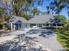 4202 Deepwater Ln in Tampa, FL - Building Photo