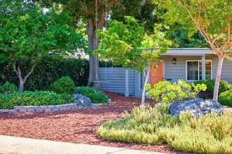 916 Hackberry Ave in Modesto, CA - Building Photo - Building Photo