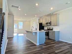 1729 Barrett Run Trl in Apex, NC - Building Photo - Building Photo