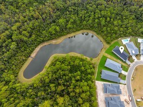 169 Orman Ct in Inlet Beach, FL - Building Photo - Building Photo