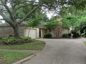 1007 Apache Falls Dr in Katy, TX - Building Photo