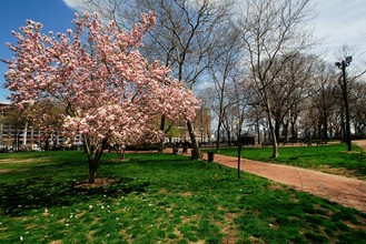 923 Castle Point Ter in Hoboken, NJ - Building Photo - Building Photo