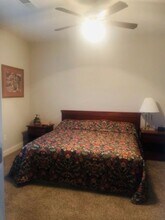 236 Massee Cir in Oxford, MS - Building Photo - Building Photo
