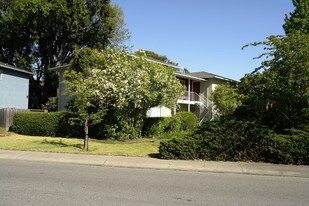 344 Waverley St Apartments