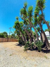 603 Sunset Dr, Unit #2 in Vista, CA - Building Photo - Building Photo