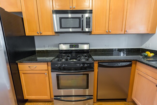 3501 N Racine Ave-Unit -3501-1 in Chicago, IL - Building Photo - Building Photo