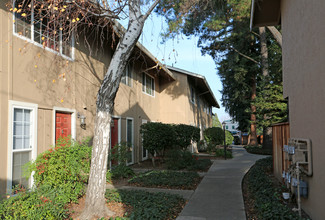 Greenwood Apartments in Dublin, CA - Building Photo - Building Photo