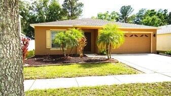 30950 Mandolin Cay Ave in Wesley Chapel, FL - Building Photo