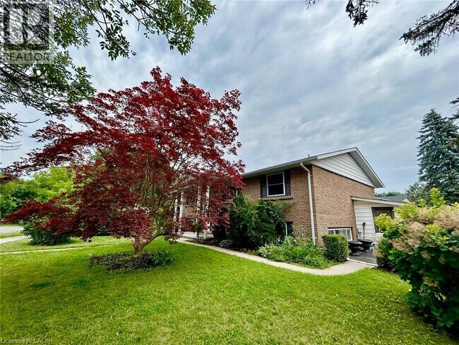 4 Fernwood Pl in Kitchener, ON - Building Photo - Building Photo
