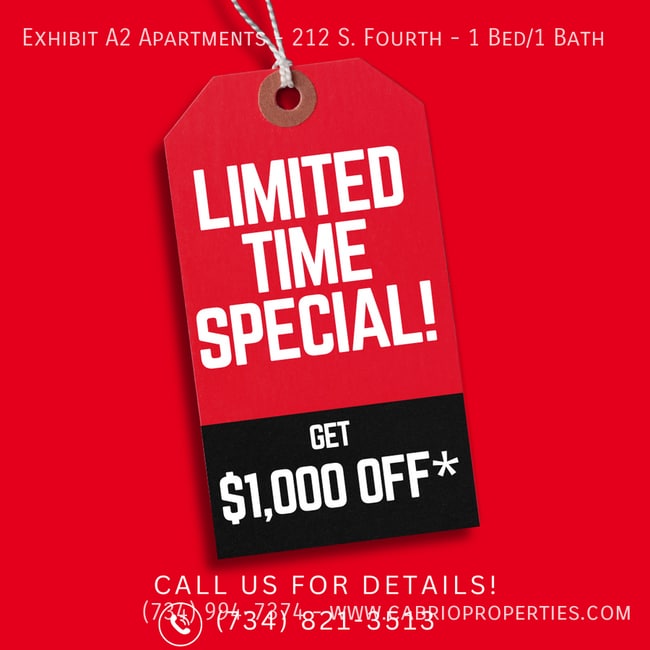 212 S 4th Ave in Ann Arbor, MI - Foto de edificio - Building Photo