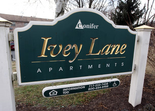 Ivey Lane Apartments in Harrisburg, PA - Building Photo - Building Photo