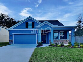 3228 Bridge Haven Dr in Zephyrhills, FL - Building Photo