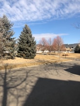 4018 Independence Dr in Loveland, CO - Foto de edificio - Building Photo