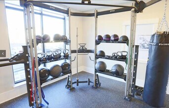 1579 Millspring Dr in Fort Mill, SC - Building Photo - Building Photo