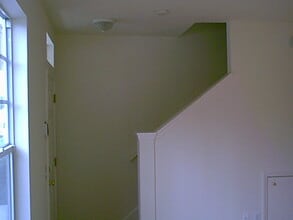 11046 Black Swan Ct in Seffner, FL - Building Photo - Building Photo