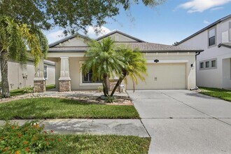 11648 Palmetto Pine St in Riverview, FL - Building Photo - Building Photo