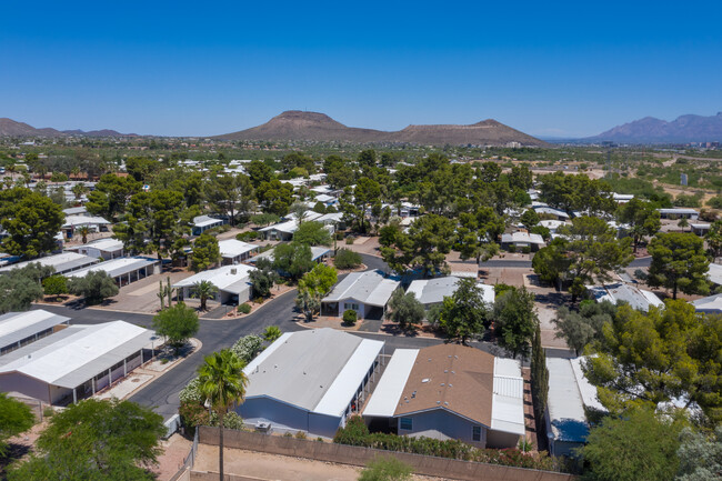 Desert Pueblo