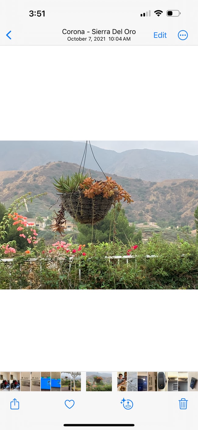 3350 Deaver Dr in Corona, CA - Building Photo - Building Photo