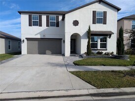 31649 Sun Kettle Lp in Wesley Chapel, FL - Building Photo