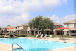 Paseo Plaza in Brownsville, TX - Building Photo