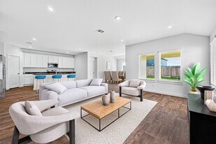 4215 Russet Elm Ln in Rosenberg, TX - Building Photo