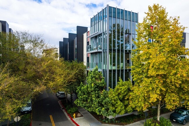 Levare in San Jose, CA - Foto de edificio - Building Photo