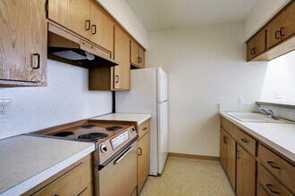 3703 Roseland St in Houston, TX - Building Photo - Building Photo