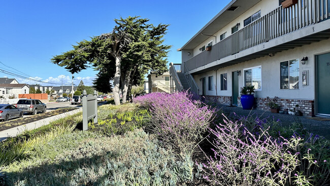 Marina Crescent in Marina, CA - Foto de edificio - Building Photo