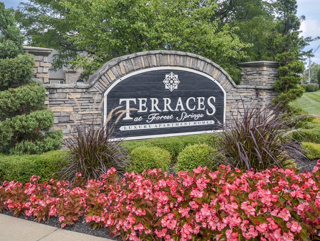 Terraces at Forest Springs