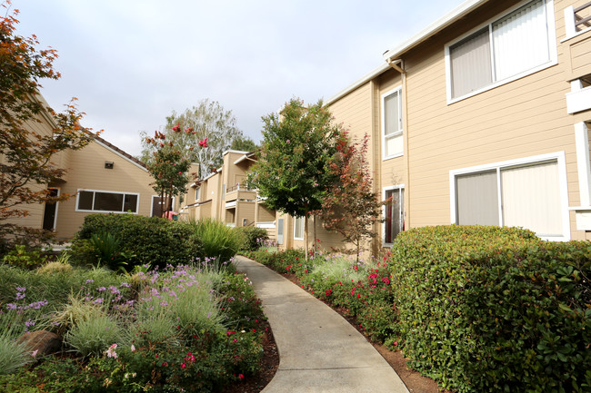 Arcadian in Concord, CA - Foto de edificio - Building Photo