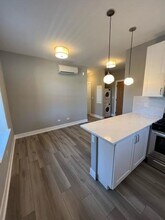 3939 N Janssen Ave in Chicago, IL - Building Photo - Building Photo