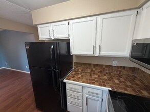 1559 Peacock Pl in Loveland, CO - Foto de edificio - Building Photo