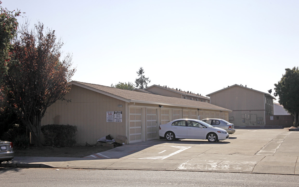 26875 Sycamore St in Newark, CA - Building Photo