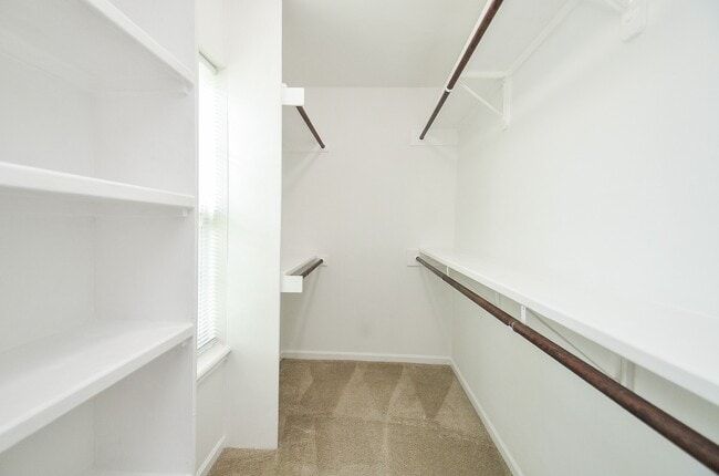 13074 Trail Hollow Dr