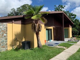 4153 Spitfire Ave in Kissimmee, FL - Building Photo